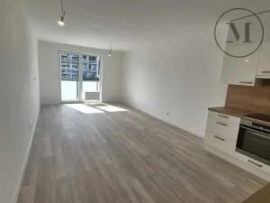 Pronájem bytu 2+kk, České Budějovice, Branišovská, 67 m2