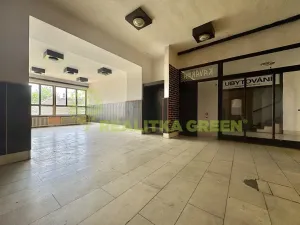 Prodej ubytování, Želetava, Pražská, 1135 m2