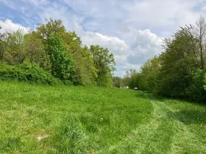 Prodej pozemku pro bydlení, Vysoký Chlumec, 2553 m2