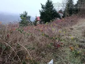 Prodej pozemku pro bydlení, Hradištko, Květná, 1357 m2