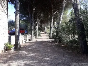 Prodej zemědělské usedlosti, Carsan, Francie, 386 m2