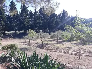 Prodej zemědělské usedlosti, Carsan, Francie, 386 m2