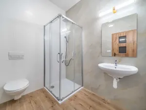 Pronájem bytu 3+kk, Plzeň, Dvorní, 61 m2