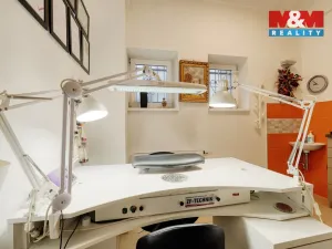 Pronájem obchodního prostoru, Plzeň - Severní Předměstí, Pod Všemi svatými, 12 m2