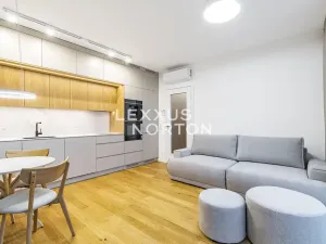 Pronájem bytu 2+kk, Praha - Holešovice, U průhonu, 48 m2