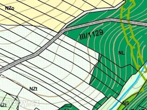 Dražba lesa, Chotýšany, 21423 m2