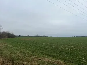 Prodej podílu pozemku pro bydlení, Neděliště, 722 m2