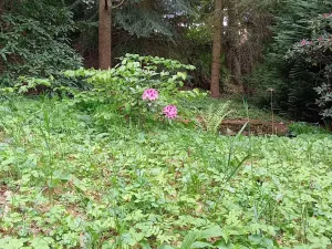 Prodej rodinného domu, Drslavice, 86 m2