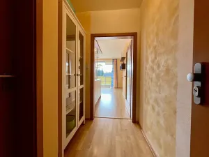 Pronájem bytu 1+kk, Jihlava, 51 m2