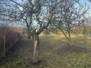 Prodej pozemku pro bydlení, Oskořínek, Ronovská, 1594 m2