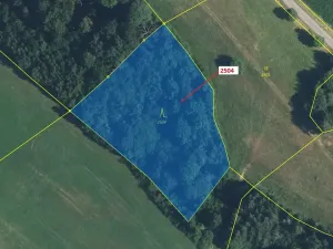 Dražba lesa, Písečná, 3497 m2