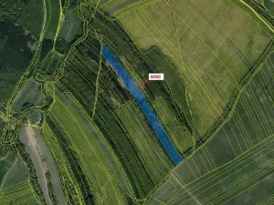 Dražba lesa, Bojkovice, 35849 m2