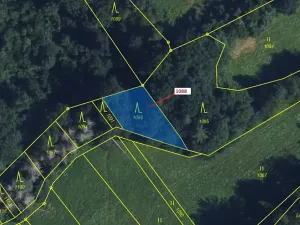 Dražba lesa, Spešov, 400 m2