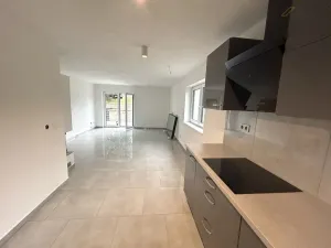 Pronájem rodinného domu, Všemyslice - Bohunice, 168 m2