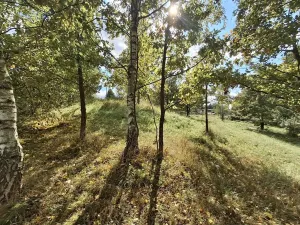 Prodej pozemku pro bydlení, Nový Kostel, 817 m2