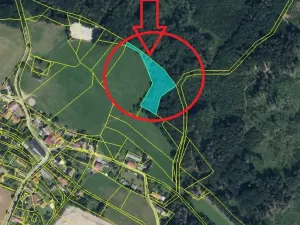 Prodej lesa, Boháňka, 3705 m2