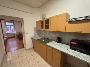 Pronájem bytu 2+1, Plzeň, Lindauerova, 55 m2