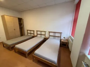 Pronájem bytu 2+1, Plzeň, Lindauerova, 55 m2