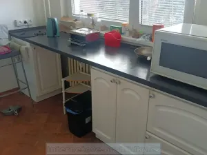 Pronájem pokoje, Praha - Hlubočepy, Geologická, 23 m2