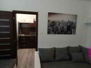 Pronájem bytu 2+1, Olomouc, Družební, 45 m2