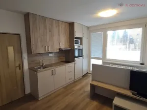Pronájem bytu 1+kk, Přerov, Trávník, 26 m2