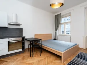 Pronájem bytu 1+kk, Praha - Nové Město, Lípová, 33 m2