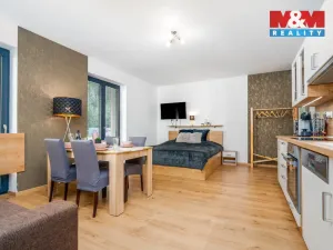 Prodej bytu 1+kk, Vrchlabí - Hořejší Vrchlabí, Horská, 44 m2