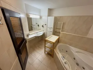 Pronájem rodinného domu, Praha - Motol, Bedrnova, 260 m2