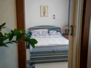 Prodej bytu 2+1, České Budějovice, Větrná, 57 m2