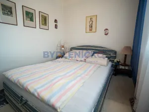 Prodej bytu 2+1, České Budějovice, Větrná, 57 m2