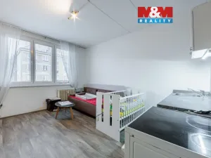 Prodej bytu 1+kk, Bukovany, 21 m2