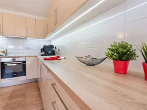 Prodej bytu 2+kk, Brno, Cejl, 58 m2
