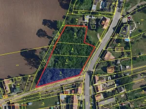 Prodej lesa, Cvrčovice, 4746 m2