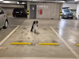 Pronájem garážového stání, Brno, Mojmírovo náměstí, 15 m2