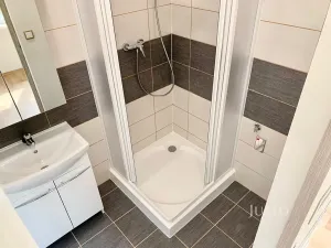 Pronájem bytu 2+1, Ústí nad Labem, Ladova, 61 m2