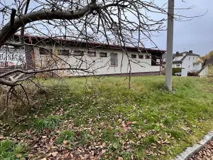 Prodej komerční nemovitosti, Mariánské Lázně, Školní, 500 m2