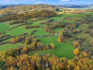 Prodej louky, Stvolínky, 37129 m2