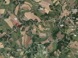 Prodej lesa, Bořetín, 31787 m2