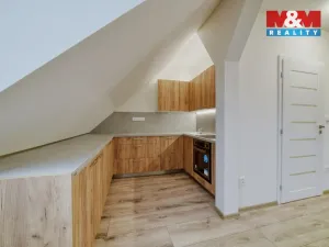 Prodej činžovního domu, Luby, Revoluční, 218 m2