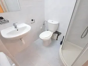 Pronájem bytu 1+kk, Praha - Braník, Pod vinohradem, 27 m2