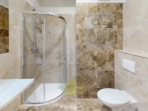 Pronájem bytu 1+kk, Olomouc, Janského, 28 m2