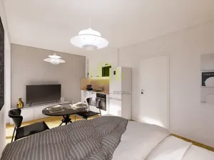 Prodej bytu 1+kk, Lipník nad Bečvou, Mánesova, 25 m2