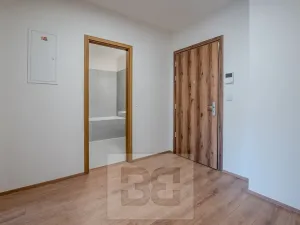 Pronájem bytu 2+kk, Liberec, Tovární, 66 m2