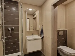 Pronájem bytu 1+kk, Praha - Vršovice, Novgorodská, 30 m2