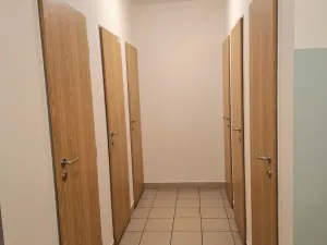 Pronájem bytu 1+kk, Klecany, V Honech, 29 m2