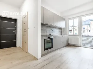 Pronájem bytu 2+1, Ústí nad Labem, Zeyerova, 54 m2