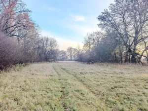 Prodej pole, Oseček, 76028 m2