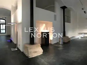 Prodej obchodního prostoru, Praha - Karlín, Šaldova, 210 m2