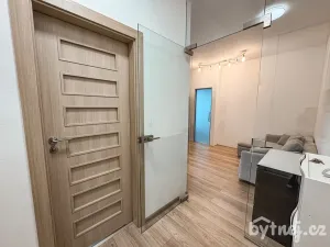 Pronájem bytu 2+kk, Brno - Zábrdovice, Francouzská, 37 m2