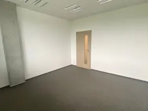 Pronájem kanceláře, Brno, Sochorova, 31 m2